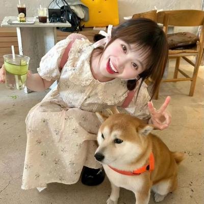 梦乡2019